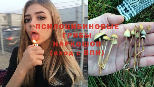 прущие крисы Гусев