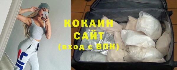 прущие крисы Гусев
