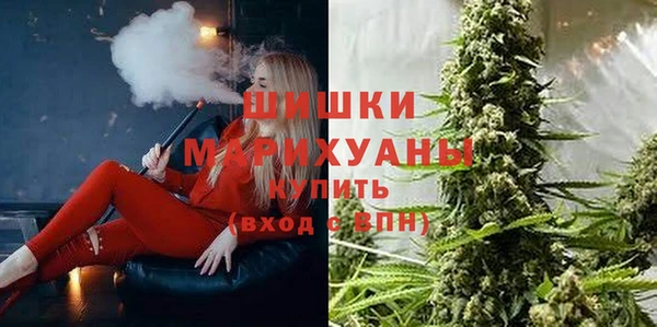 прущие крисы Гусев