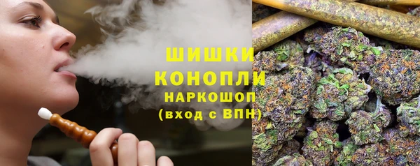 прущие крисы Гусев