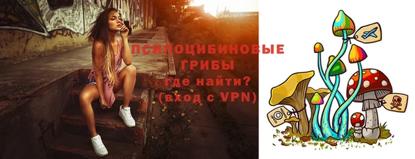 прущие крисы Гусев