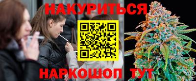 стаф Берёзовский