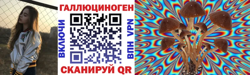 kraken зеркало  магазин  наркотиков  Белорецк  Галлюциногенные грибы GOLDEN TEACHER 
