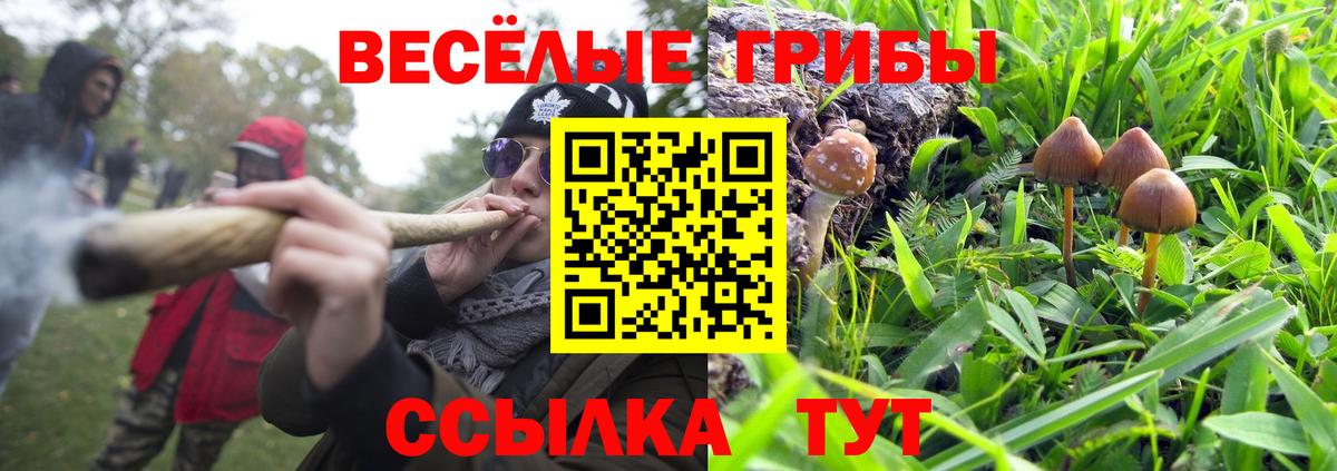 Псилоцибиновые грибы Cubensis  Галлюциногенные грибы ЛСД  Белорецк 