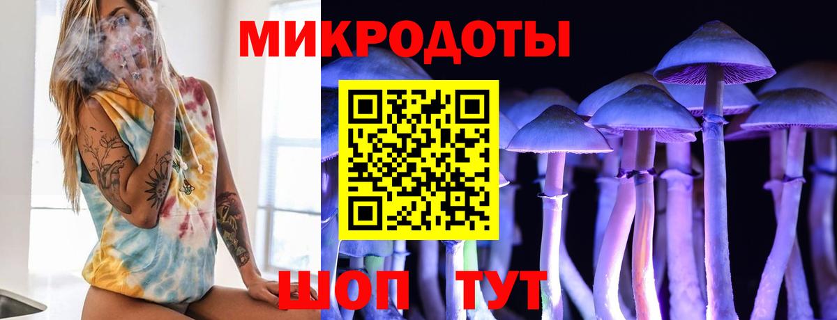 Псилоцибиновые грибы Cubensis  Вход с VPN  Белорецк 